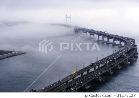 釜山廣安大橋 釜山廣安大橋 31175127