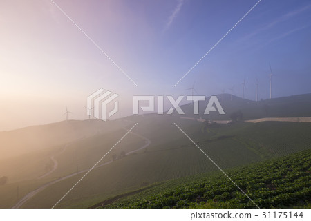 渦輪，大白菜領域，Mabongsan風力發電廠，Taebaek市，江原道 31175144