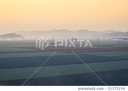 Gyeongnam，Changnyeong-gun，大蒜田 31175154