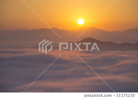 Yunhae, Okjeong, Imsilgun-gun, Jeonbuk Yunhae, Okjeong, Imsilgun-gun, Jeonbuk 31175210