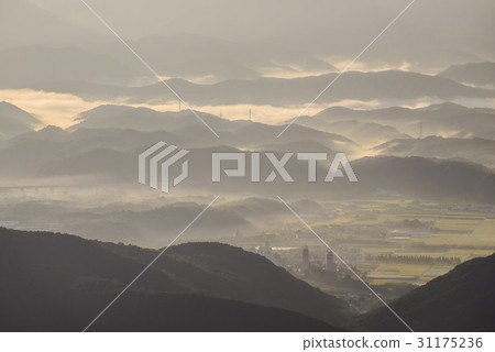 Yangsan City, Gyeongnam Yangsan City, Gyeongnam 31175236