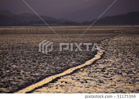Woonon Beach, Suncheon Bay, Suncheon City, Jeonnam Woonon Beach, Suncheon Bay, Suncheon City, Jeonnam 31175304