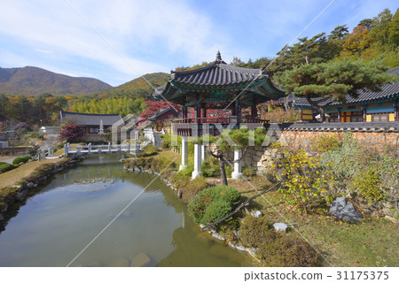 Sha Minam，Tongdosa，Youngsan，Yangsan，Gyeongnam 31175375
