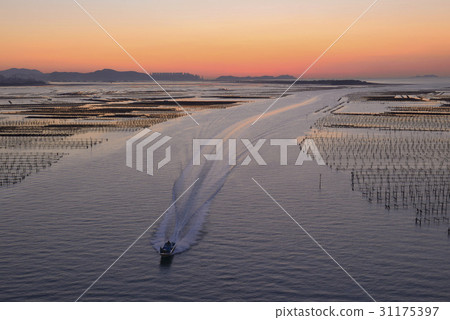 Oyster farm, Gadeokdo, Gangseo-gu, Busan Oyster farm, Gadeokdo, Gangseo-gu, Busan 31175397