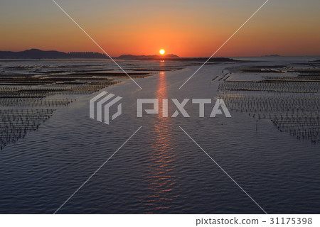 牡蠣養殖場,Gadeokdo,Gangseo-gu,釜山 牡蠣養殖場,Gadeokdo,Gangseo-gu,釜山 31175398