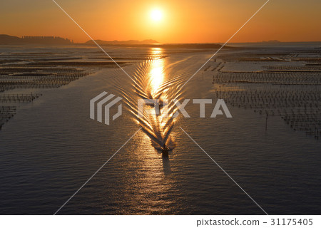 牡蠣養殖場，Gadeokdo，Gangseo-gu，釜山 31175405