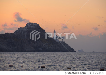 Oryukdo,Namgu,釜山 Oryukdo,Namgu,釜山 31175448