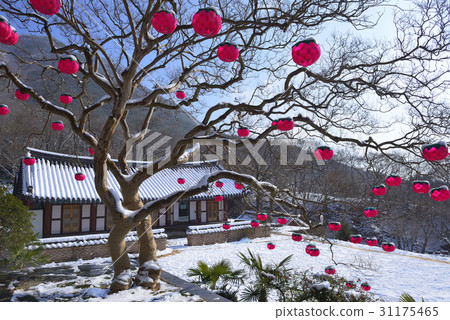 Yeongeon-gun,Yeon-san,Hwasun-gun,全南 Yeongeon-gun,Yeon-san,Hwasun-gun,全南 31175465