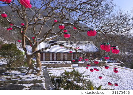 Yeongeon-gun，Yeon-san，Hwasun-gun，全南 31175466