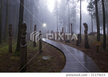 Jangseung, Cedar, Jumun Natural Recreation Forest, Jeju City, Jeju Island 31175615