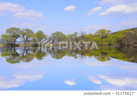 Bongokji, Gyeongsan-si, Gyeongbuk Bongokji, Gyeongsan-si, Gyeongbuk 31175627