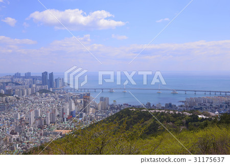 Gwangan Bridge, Marine City, Geumryu Mountain, Swimman, Suyu-gu, Busan 31175637