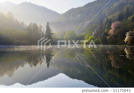 Seojiji, Seonyongri, Hwasun Gun, Jeonnam 31175641