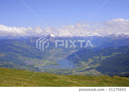 盧塞恩湖,瑞士盧塞恩 盧塞恩湖,瑞士盧塞恩 31175693