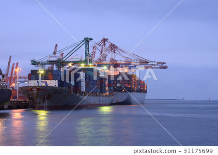 Crane, Container Line, Gamman Pier, Busan Port, Namgu, Busan 31175699