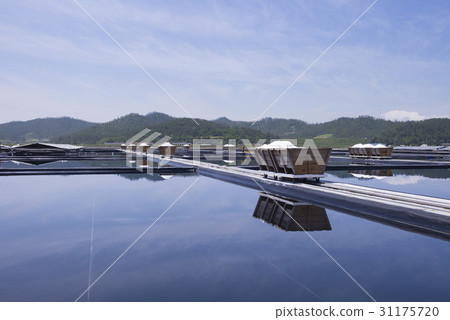 Taepyong Yinjeon, Jindo, Shinan County, Jeonnam Taepyong Yinjeon, Jindo, Shinan County, Jeonnam 31175720
