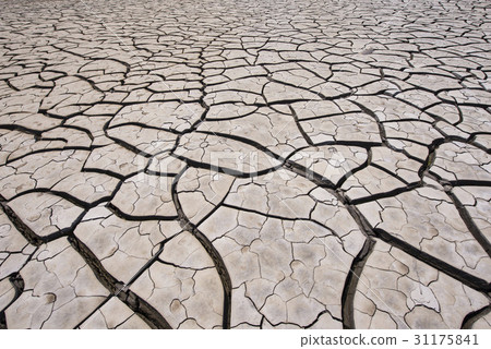 Drought, Gangseo-gu, Busan 31175841