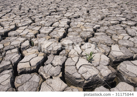 乾旱,江西區,釜山 乾旱,江西區,釜山 31175844