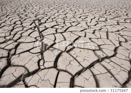乾旱，江西區，釜山 31175847