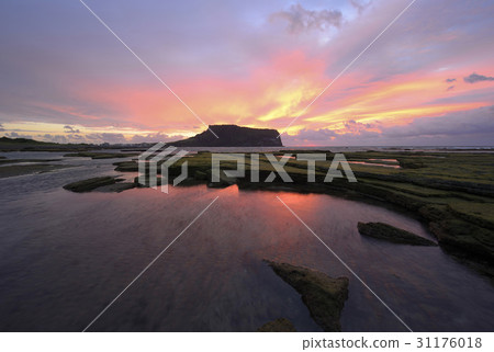 Seongsan Ilchulbong, Kwachigi Coast, Seongsan-eup, Seogwipo-si, Jeju-do 31176018