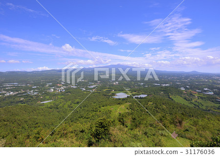 From Halla Mountain, Seogwipo City, Jeju Island 31176036