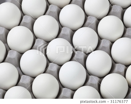 雞蛋 31176377