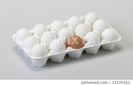 egg egg 31176382