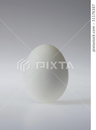 雞蛋 雞蛋 31176387