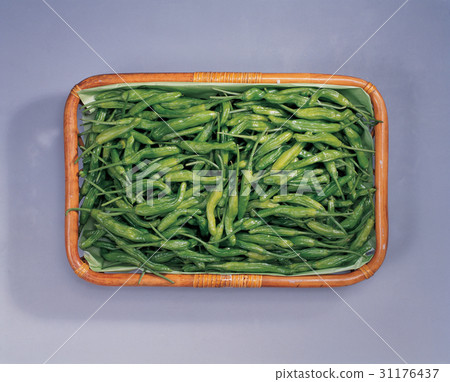 Chili pepper 31176437