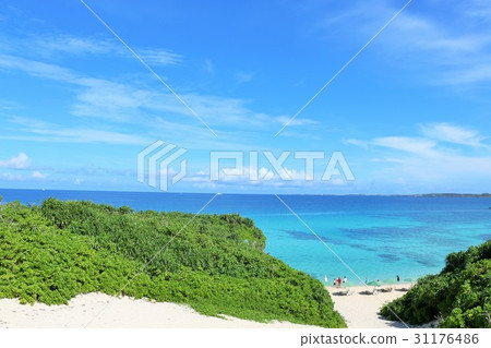 沖繩島藍天沙灘 沖繩島藍天沙灘 31176486