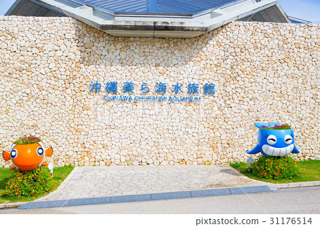 沖繩美麗海水族館 31176514