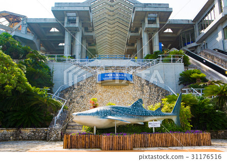 Okinawa Churaumi Aquarium 2 31176516