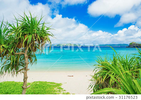 Tokashiku beach 31176523