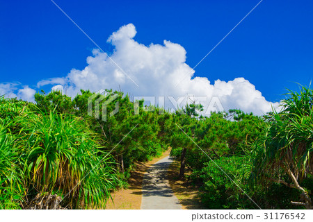 Tokashiki Island aerial photograph 31176542