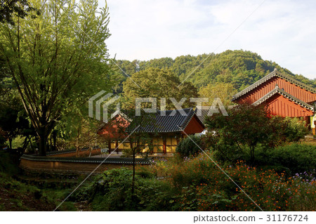 Sungrimsa Temple, Iksan City, Jeonbuk Province 31176724