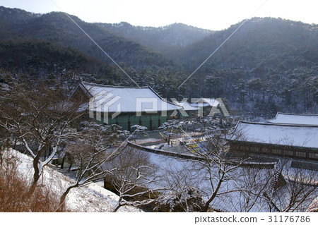 Cheonan, Chungnam 31176786