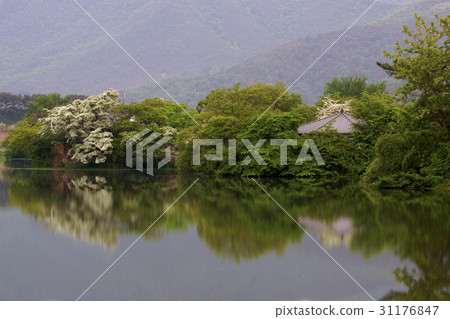 Woo Yangji, Milyangsi, Gyeongnam 31176847