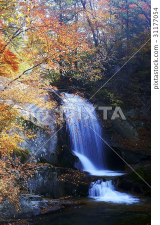 Vungdong valley，Tae-san，仁川郡，江原道 31177054