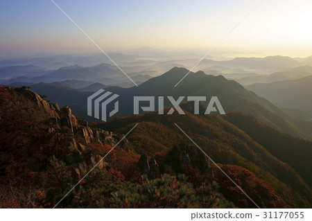 忠南郡錦山郡大都山 31177055