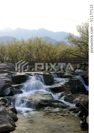 山東石油,山東,求禮郡,全南 山東石油,山東,求禮郡,全南 31177115