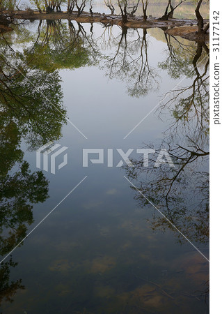 Geumgang Lohas Daecheong Park, Geumgang, Daeduk-gu, Daejeon 31177142