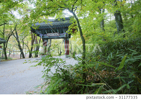 Day order, the temple of law (No. 503 historic site), Mt. Esu, Boeun-gun, Chungbuk 31177335