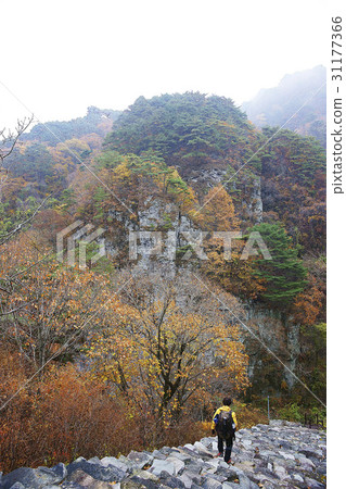 Fusion acid, Bonghwa-gun, Gyeongbuk Fusion acid, Bonghwa-gun, Gyeongbuk 31177366