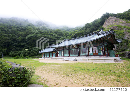 The original, Changzhou, Gyeongbuk 31177520