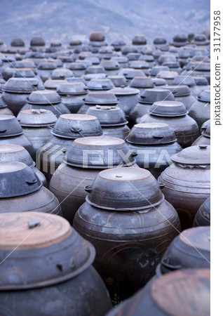 Changdok, Cheonmyeongsil farm, Gwangyang, Jeonnam 31177958