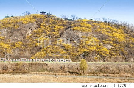 Electric Railway, Forbidden City, Eungbongsan, Seongdong-gu, Seoul 31177963