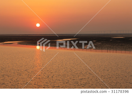 京畿道平澤市牙山灣 31178396