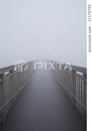Sora Wetland Ecological Park, Namdong-gu, Incheon 31178795