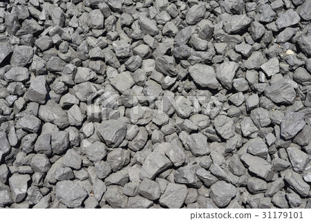 Coal Coal 31179101