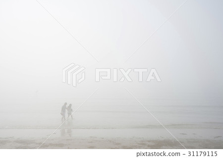 忠南縣泰安郡Sindoori海灘 31179115